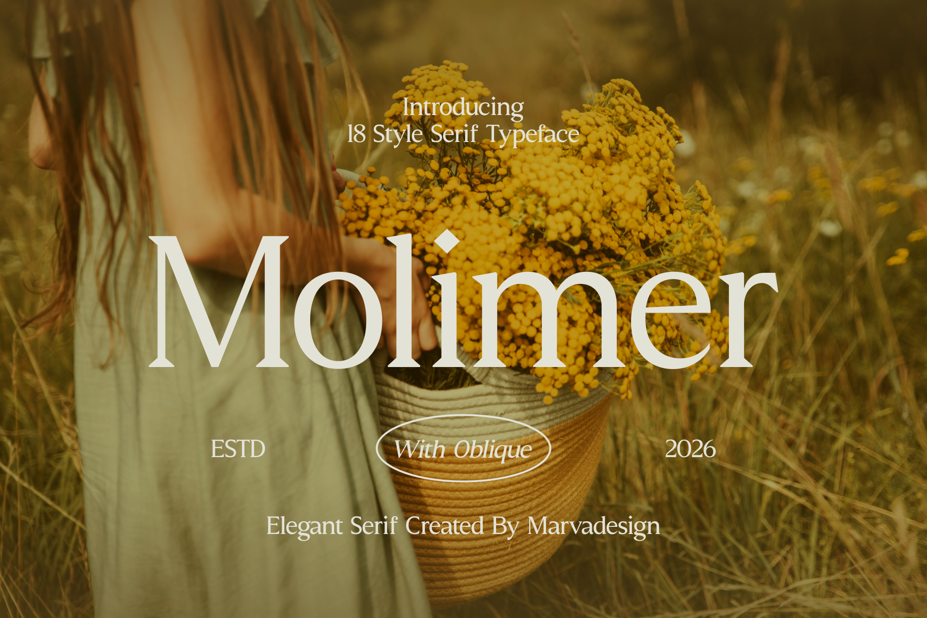 Molimer