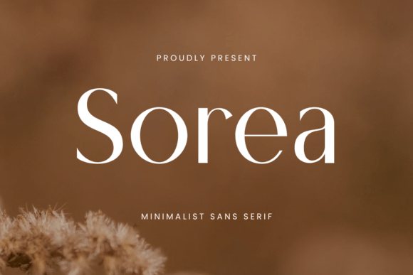 Sorea