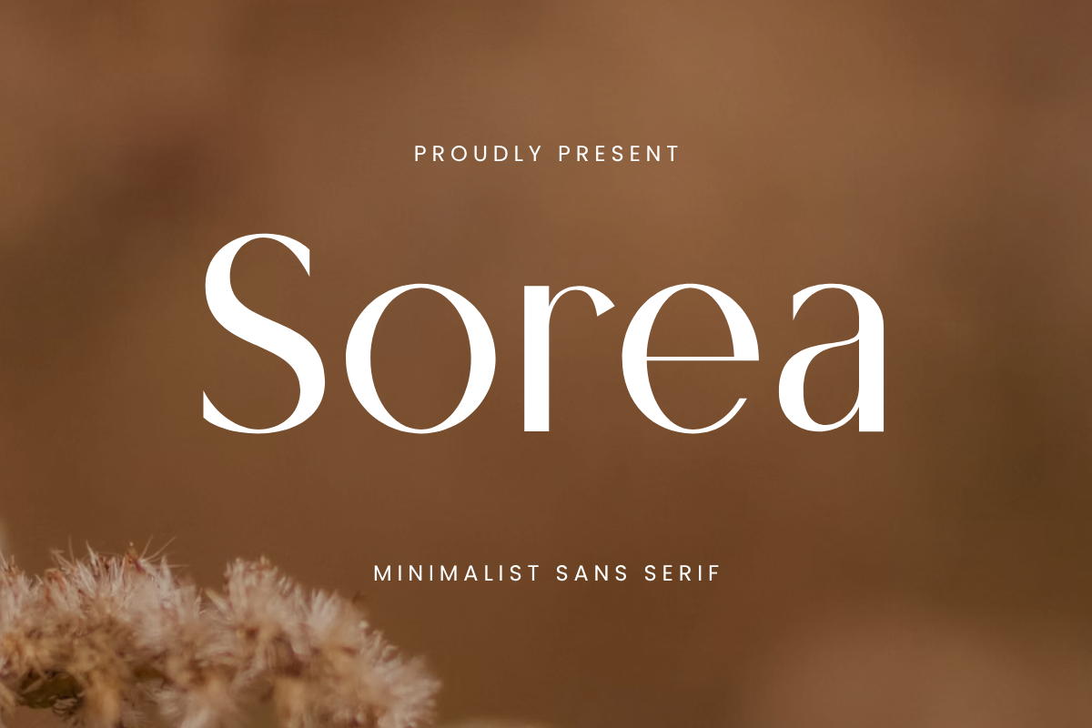 Sorea