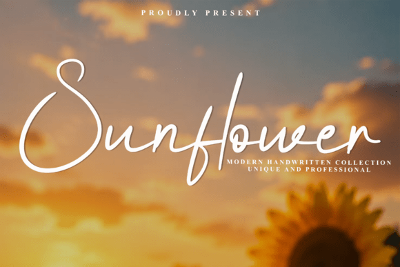 Sunflower Font - Lettering Fonts