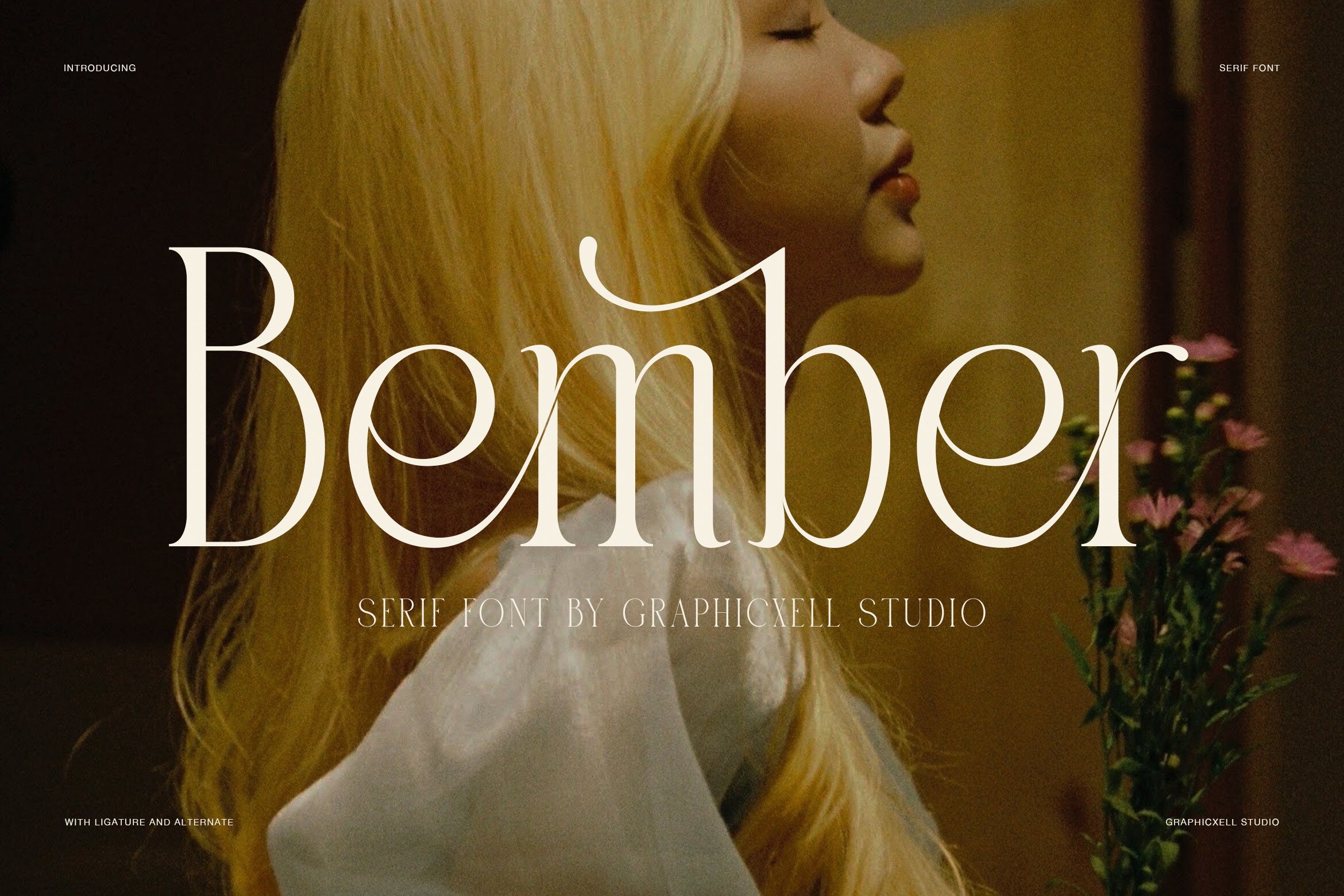 Bember