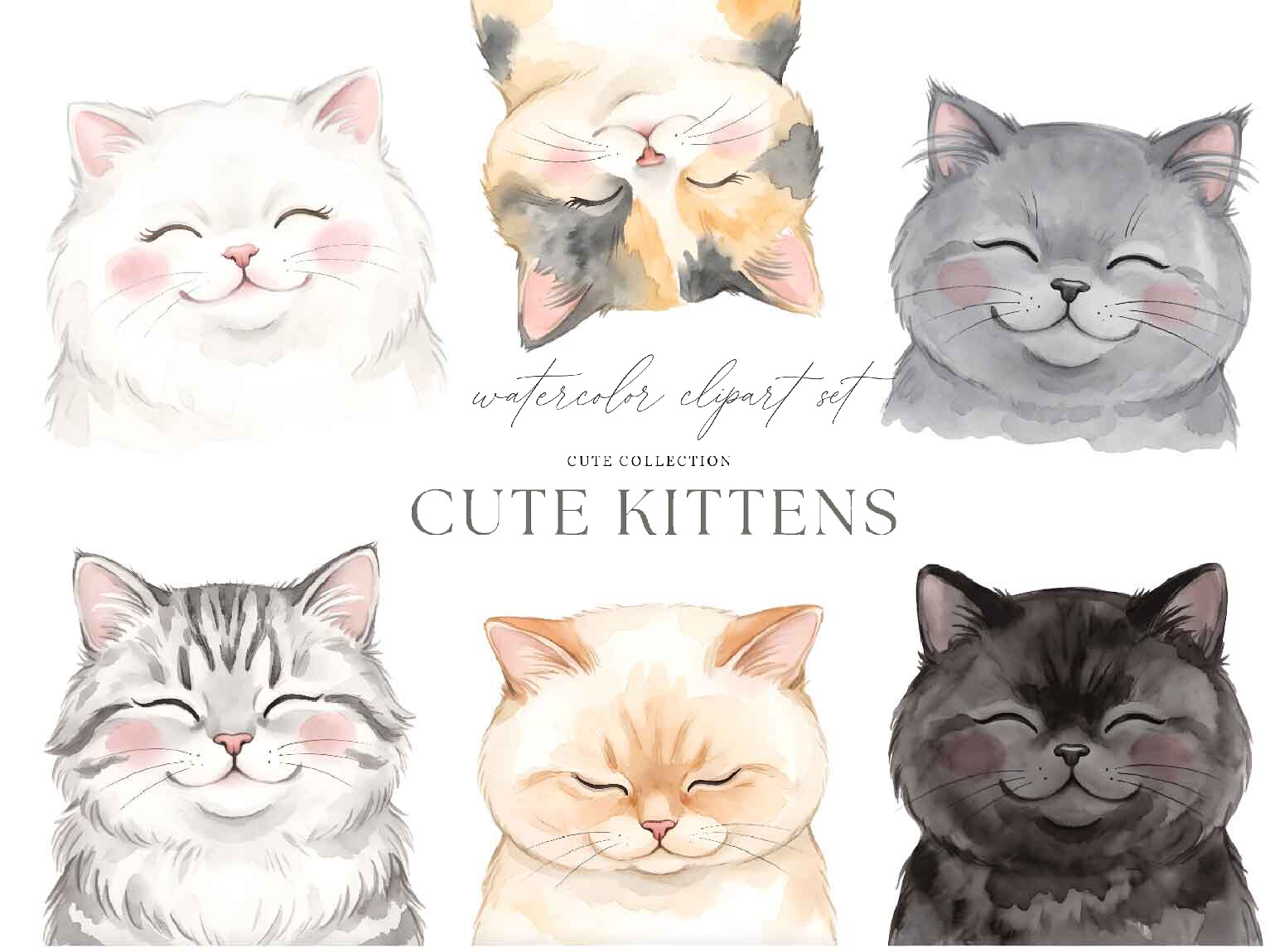Cute Cat Clipart PNG
