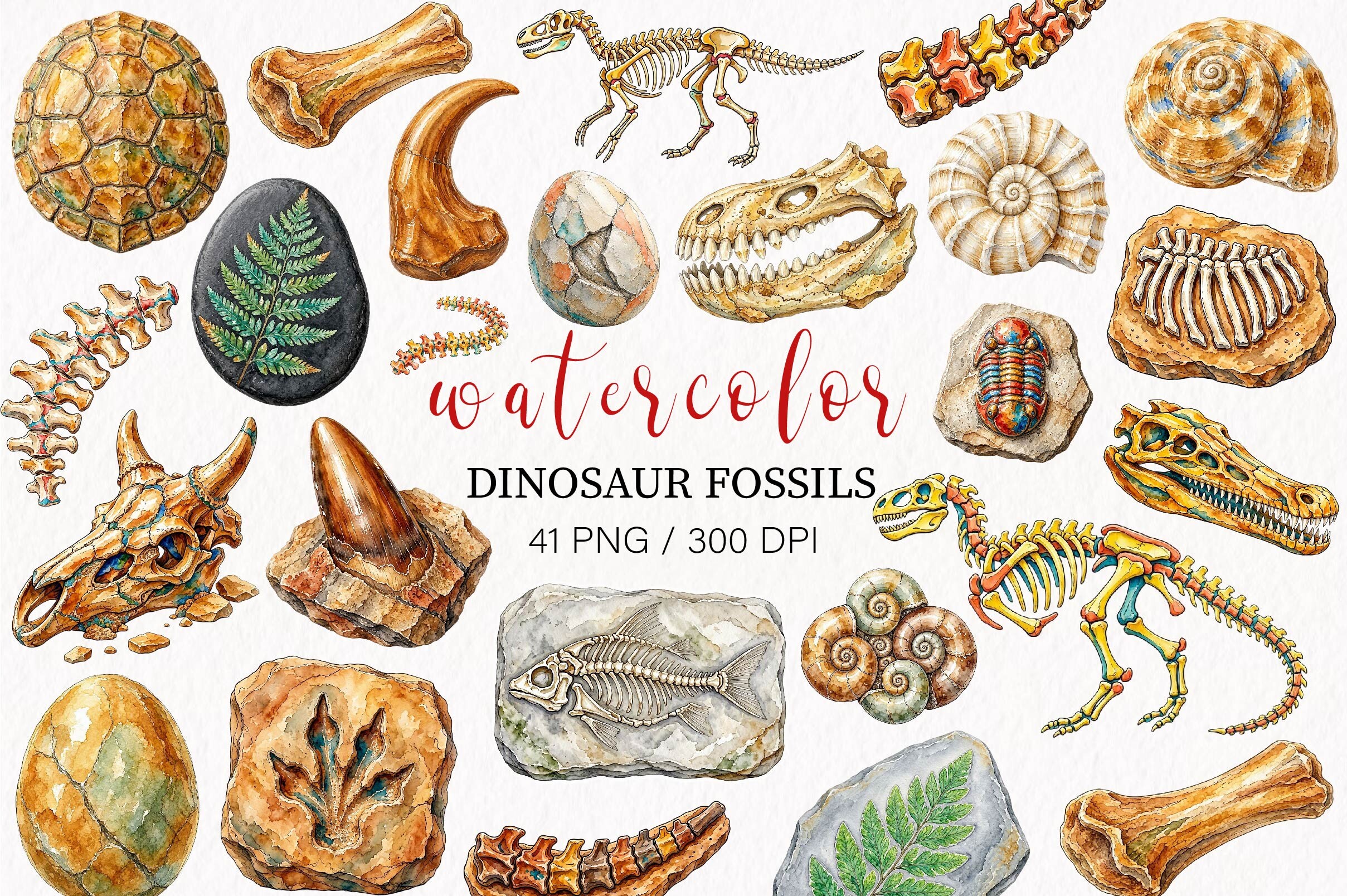 Watercolor Dinosaur Fossils Clipart