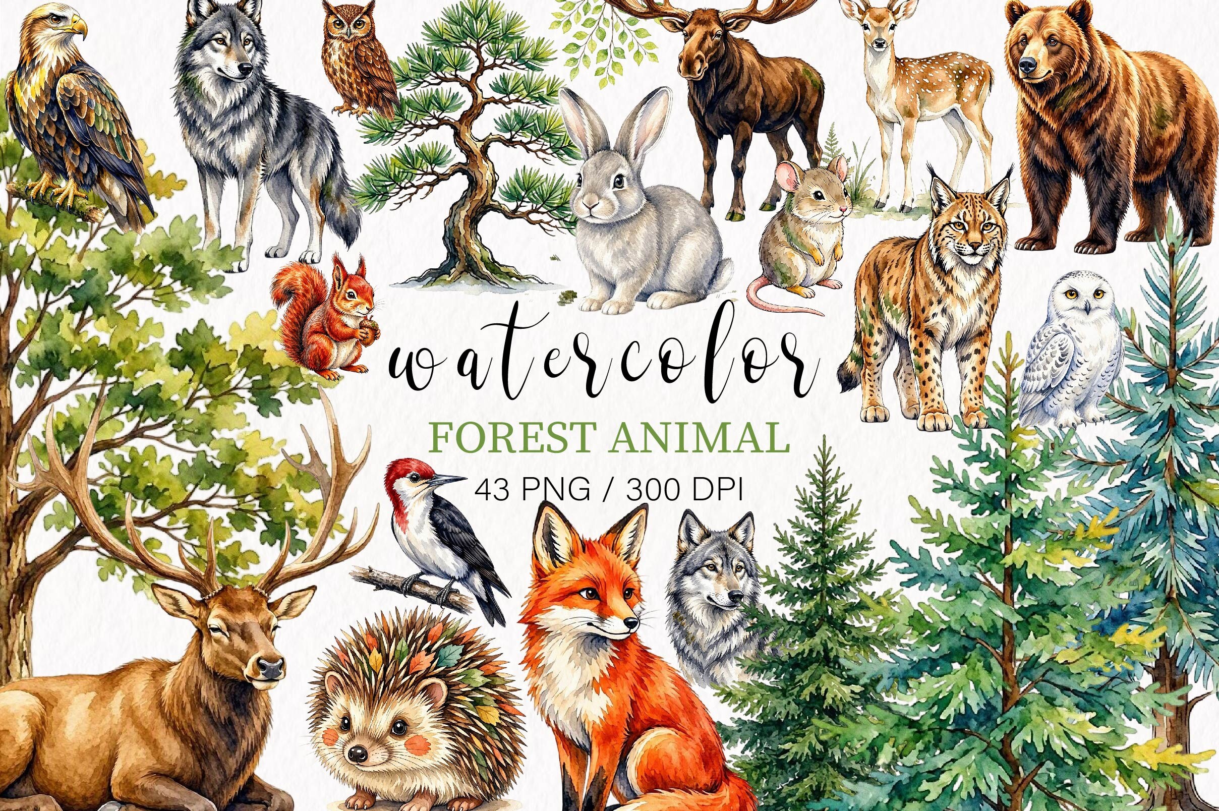 Watercolor Forest Animal Clipart