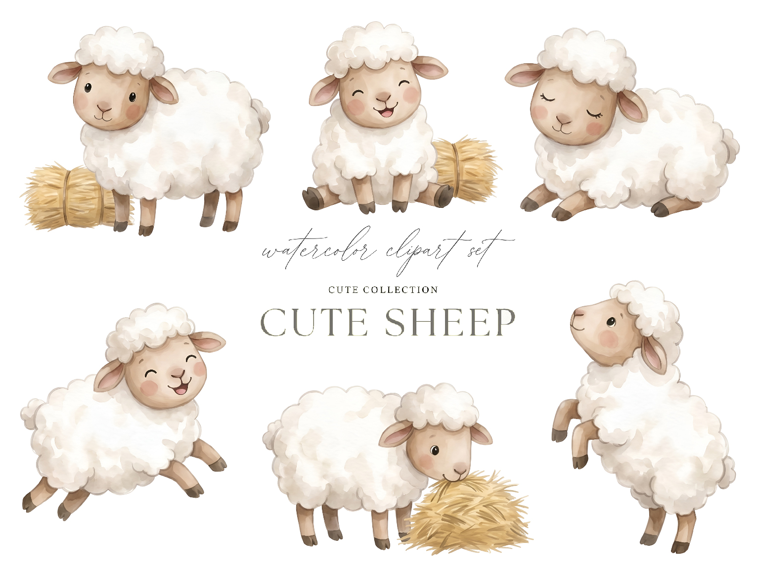 Cute Sheep Clipart PNG