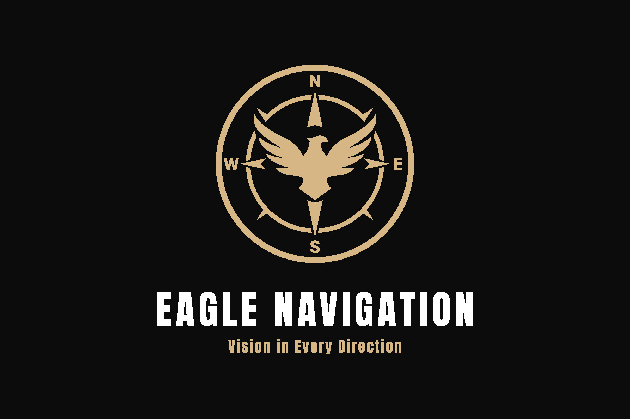 Eagle Navigation Logo Design