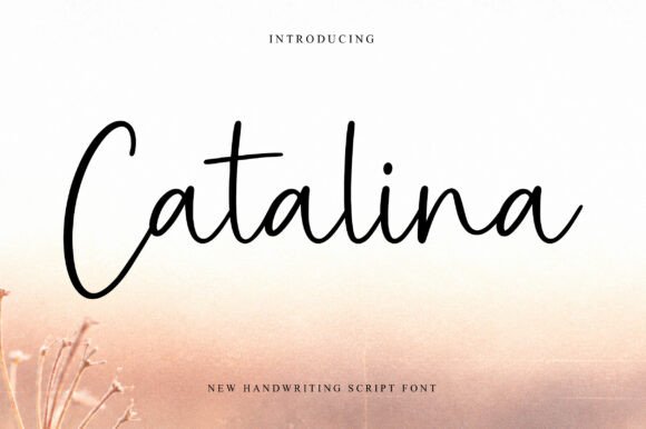 Catalina