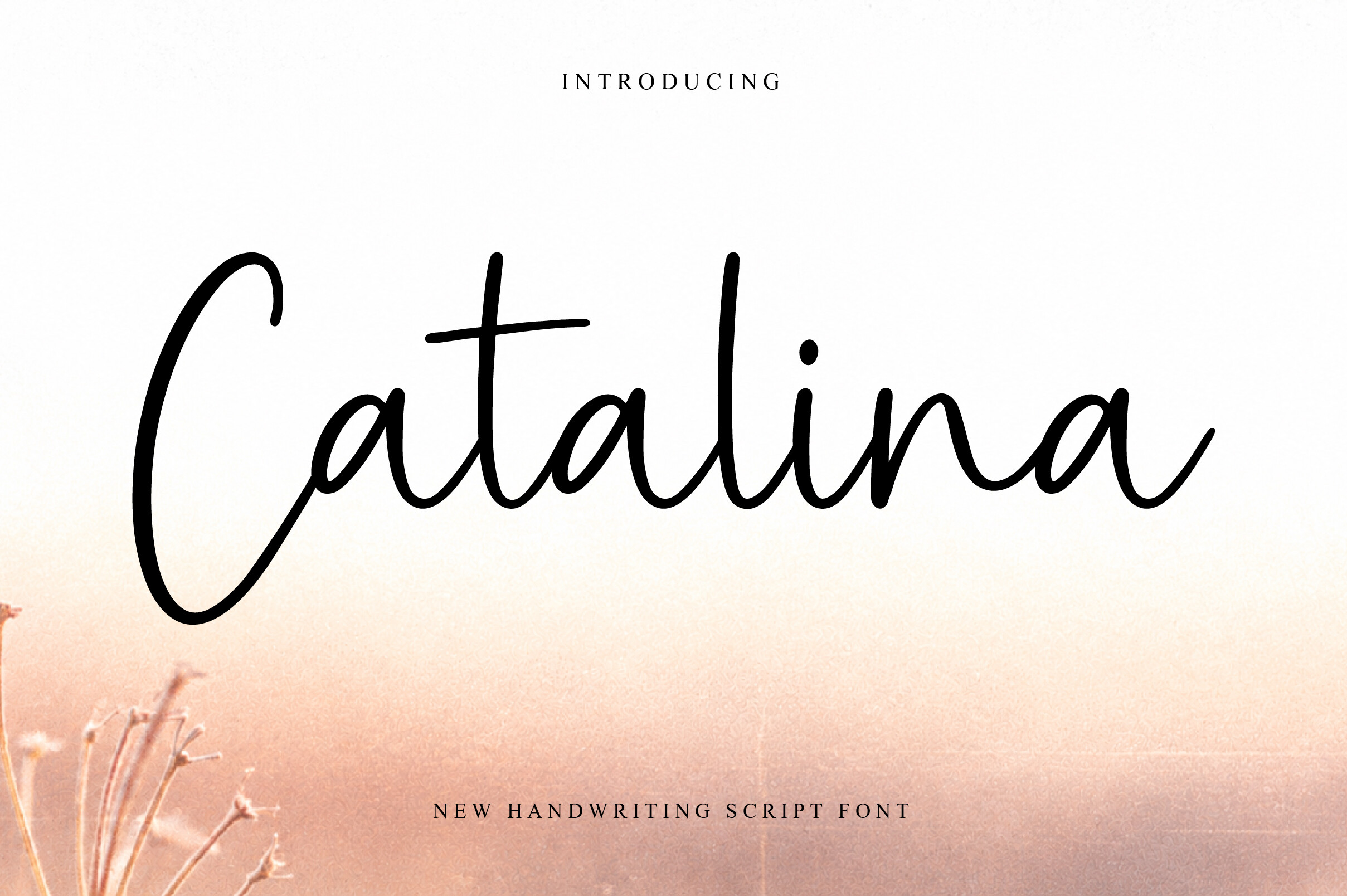 Catalina