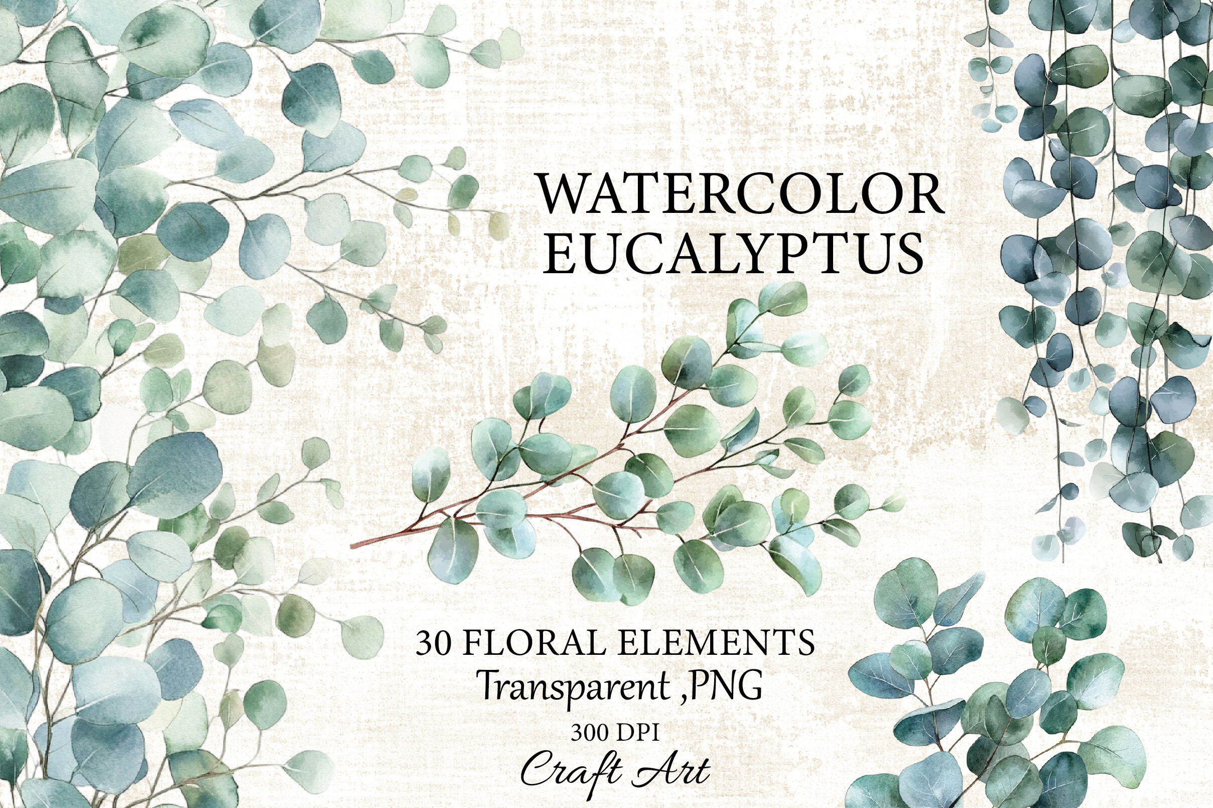 Watercolor Eucalyptus Clipart
