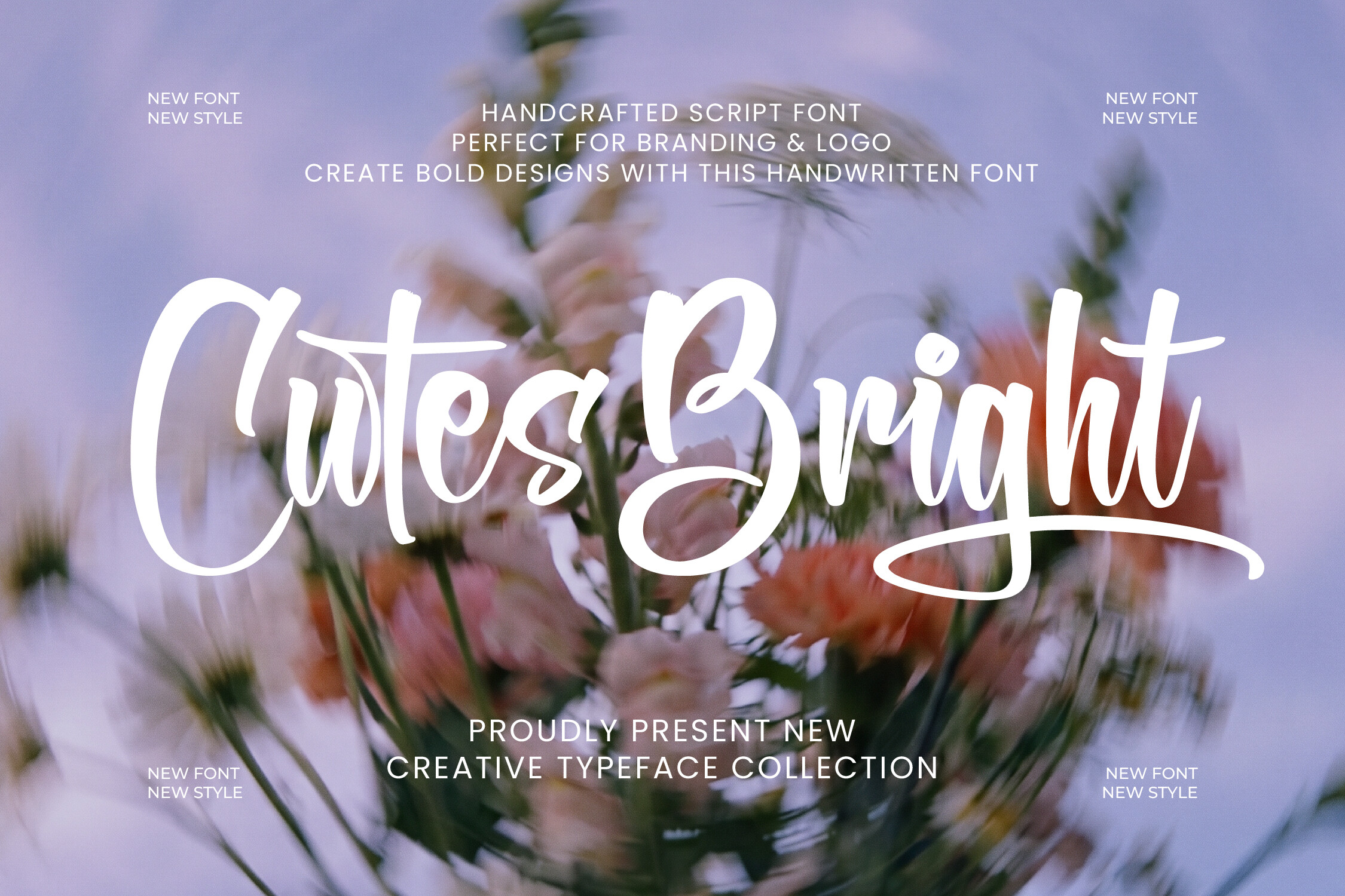 Cutes Bright