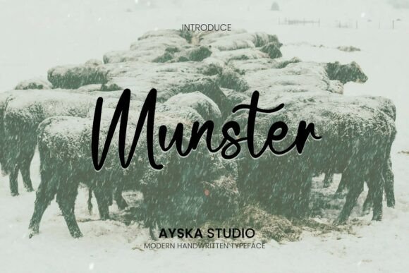 Munster