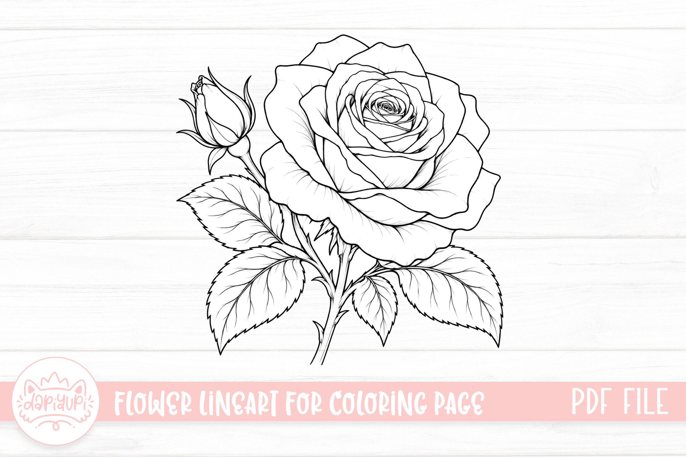 Rose Flower Coloring Page for Adult