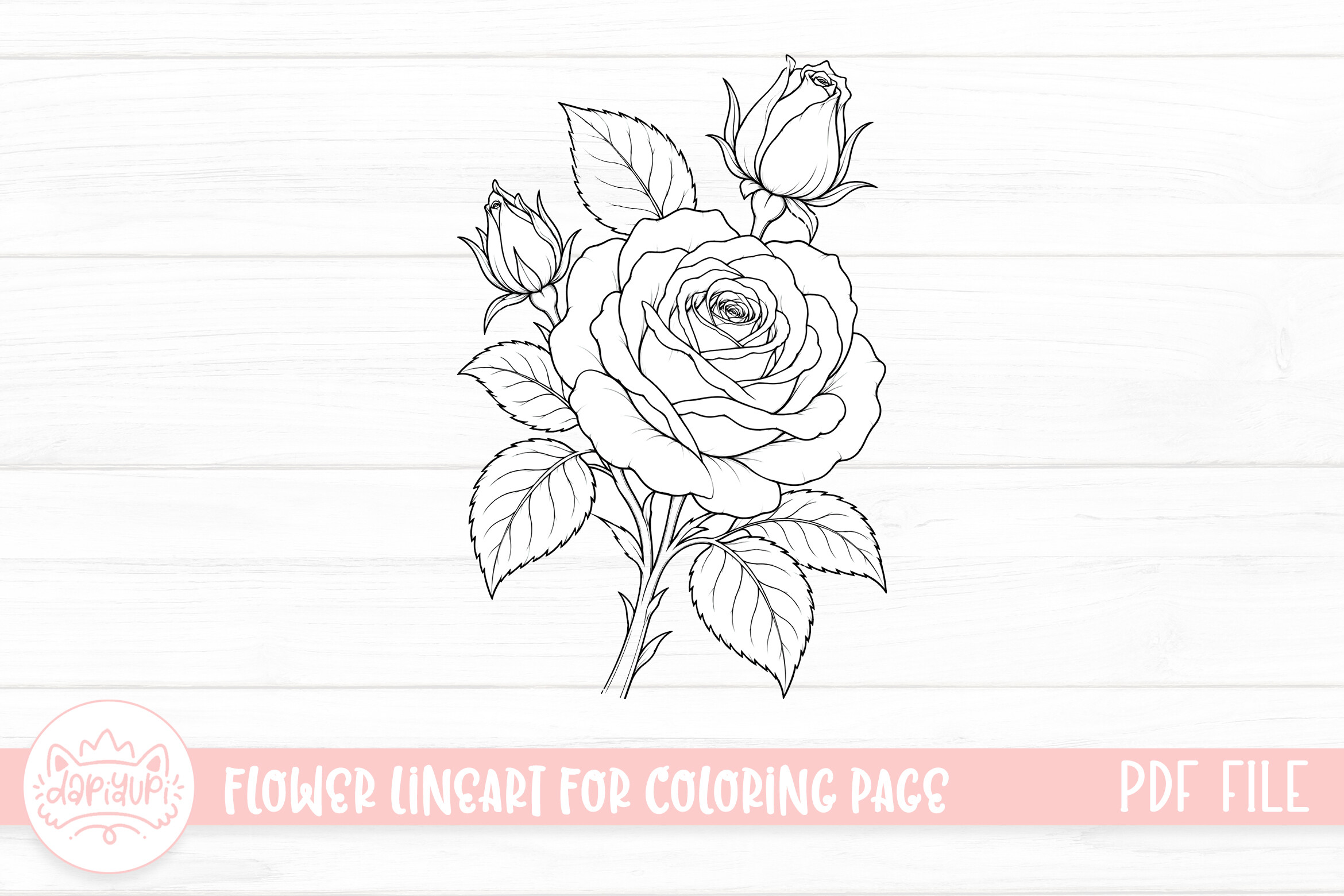 Rose Flower Coloring Page for Adult
