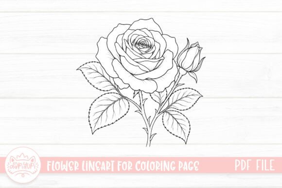 Rose Flower Coloring Page for Adult
