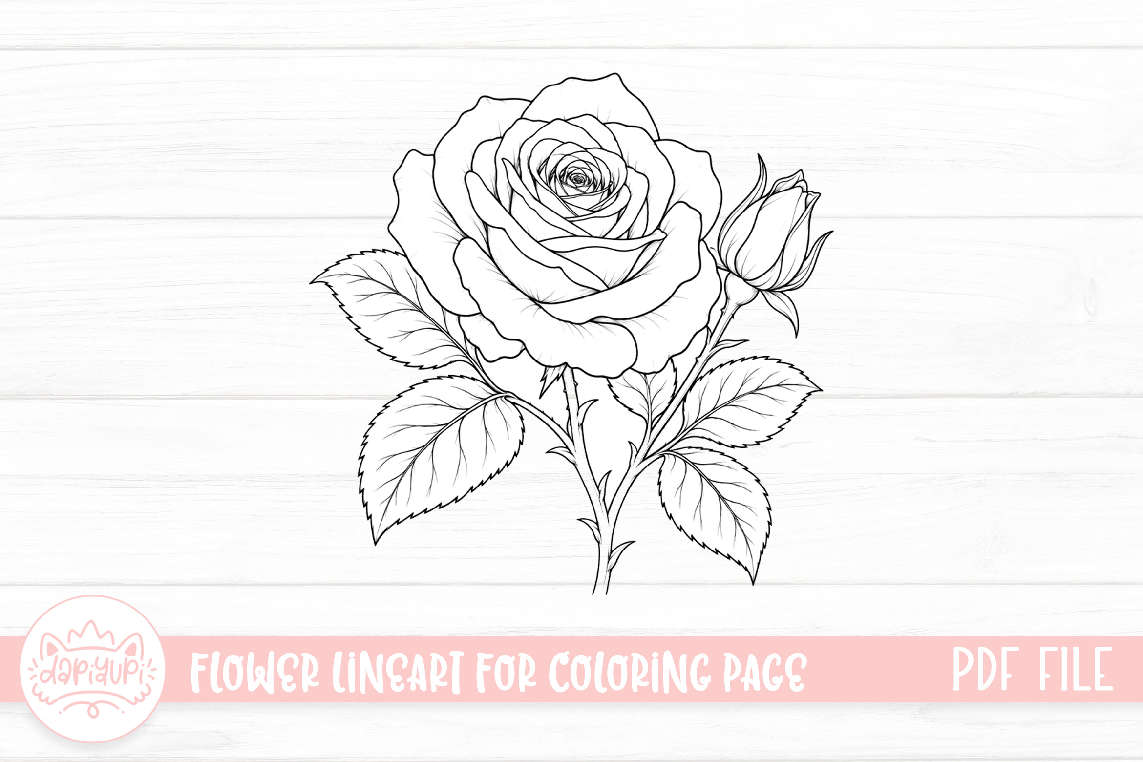 Rose Flower Coloring Page for Adult