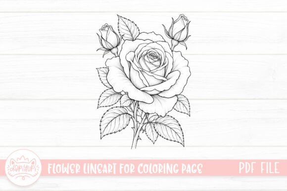 Rose Flower Coloring Page for Adult