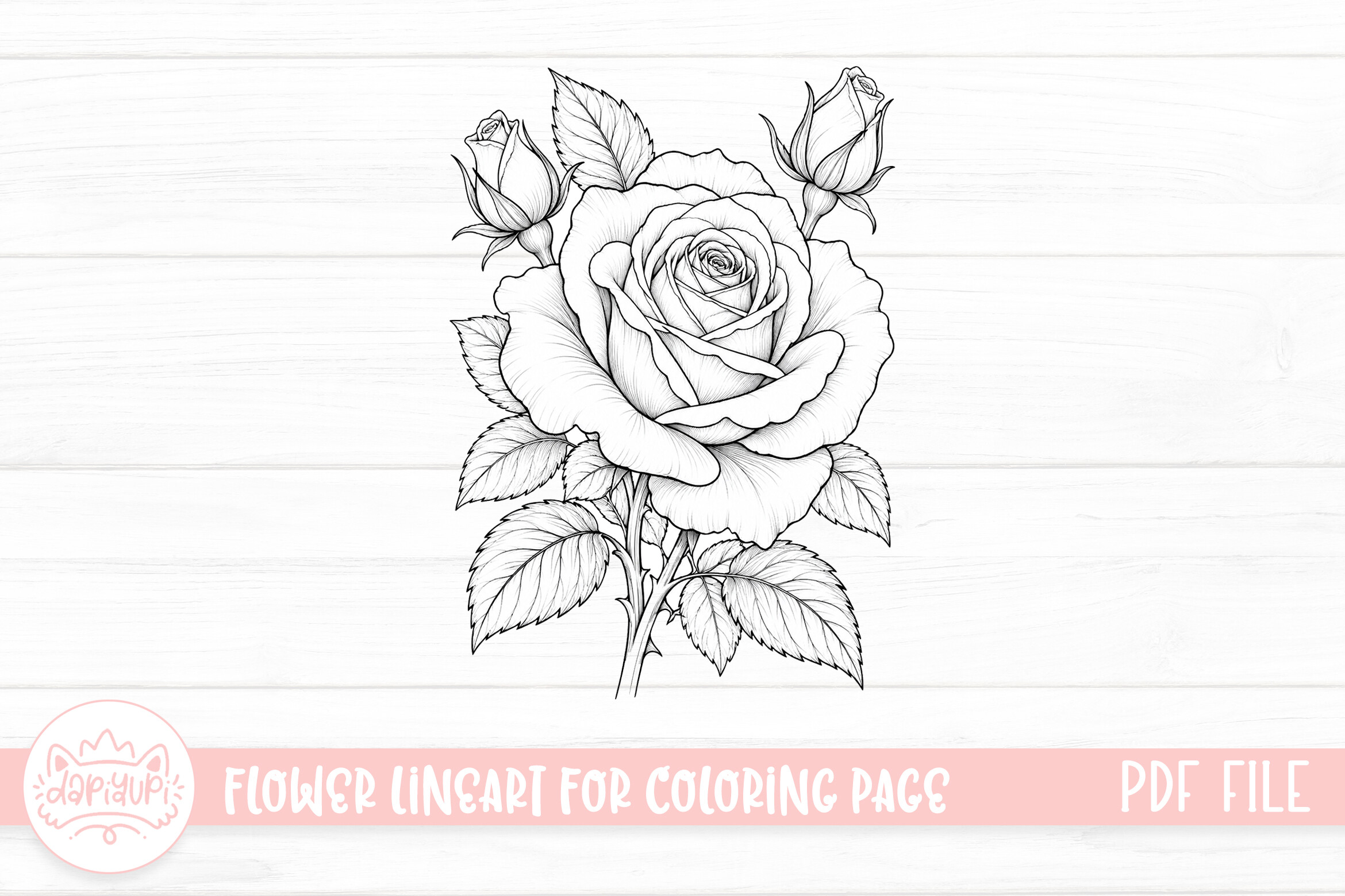 Rose Flower Coloring Page for Adult