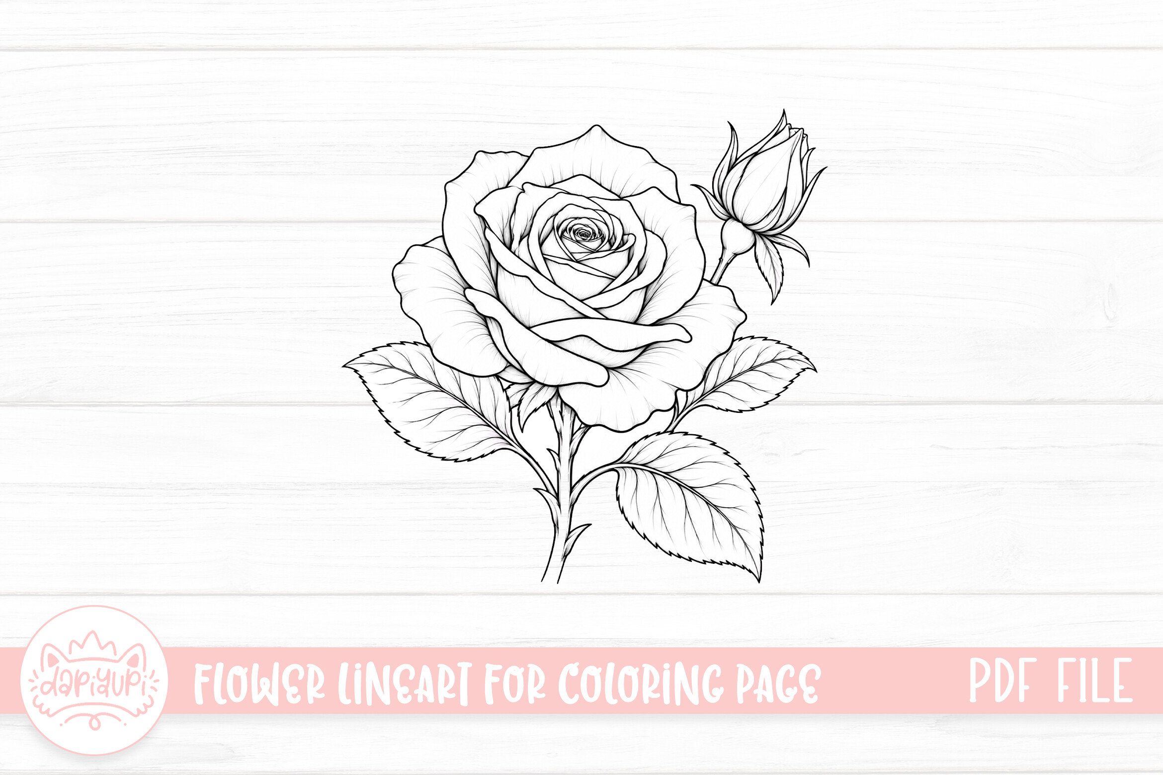 Rose Flower Coloring Page for Adult