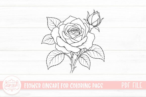Rose Flower Coloring Page for Adult