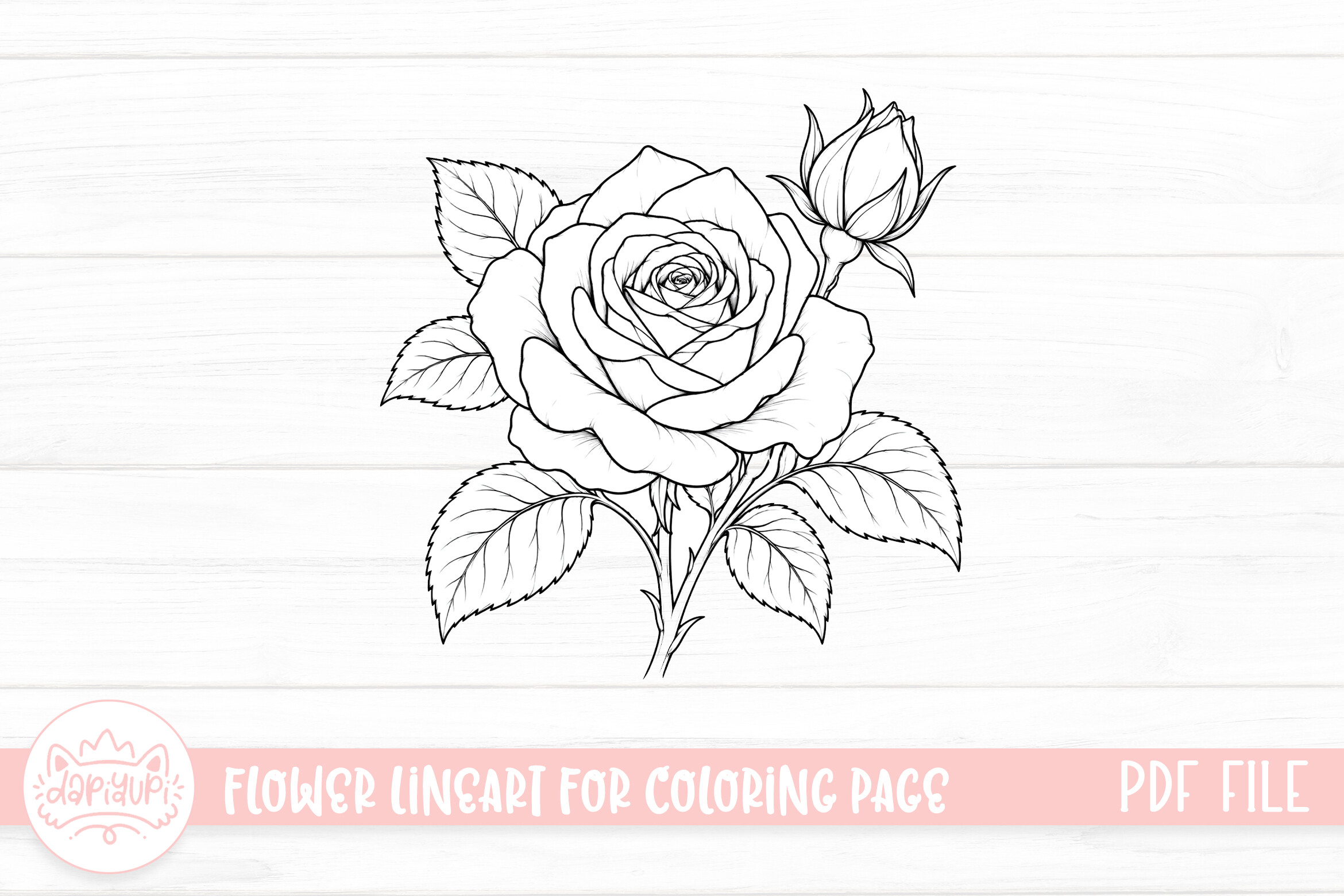 Rose Flower Coloring Page for Adult
