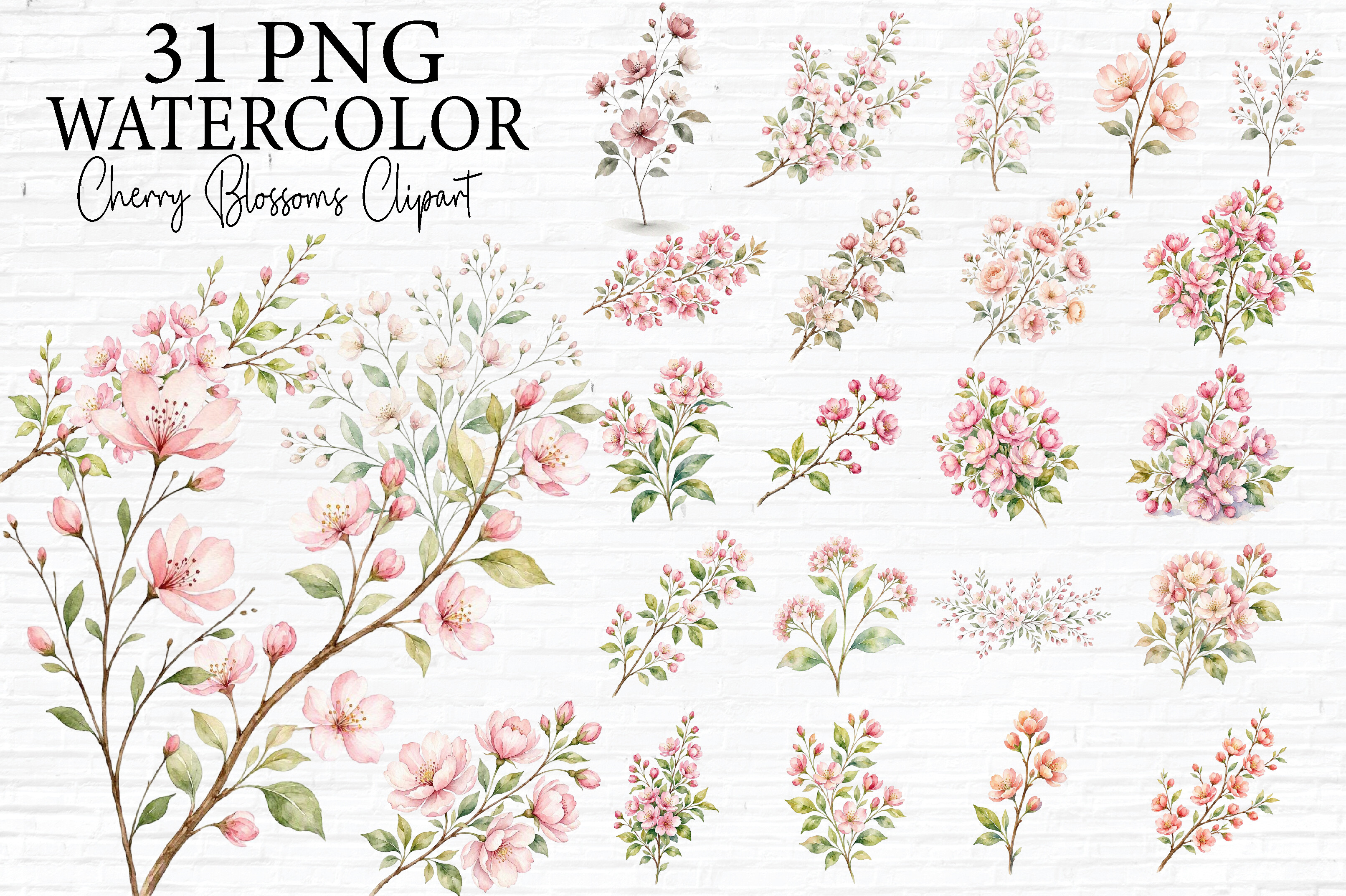 Watercolor Floral Branches & Blooms PNG
