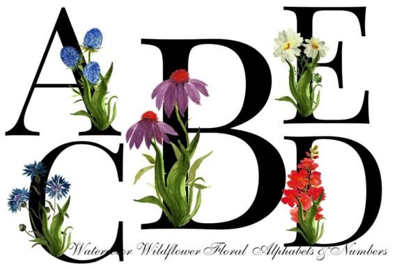Watercolor Wildflower Alphabet Numbers Graphic Illustrations By Sumi Serene
