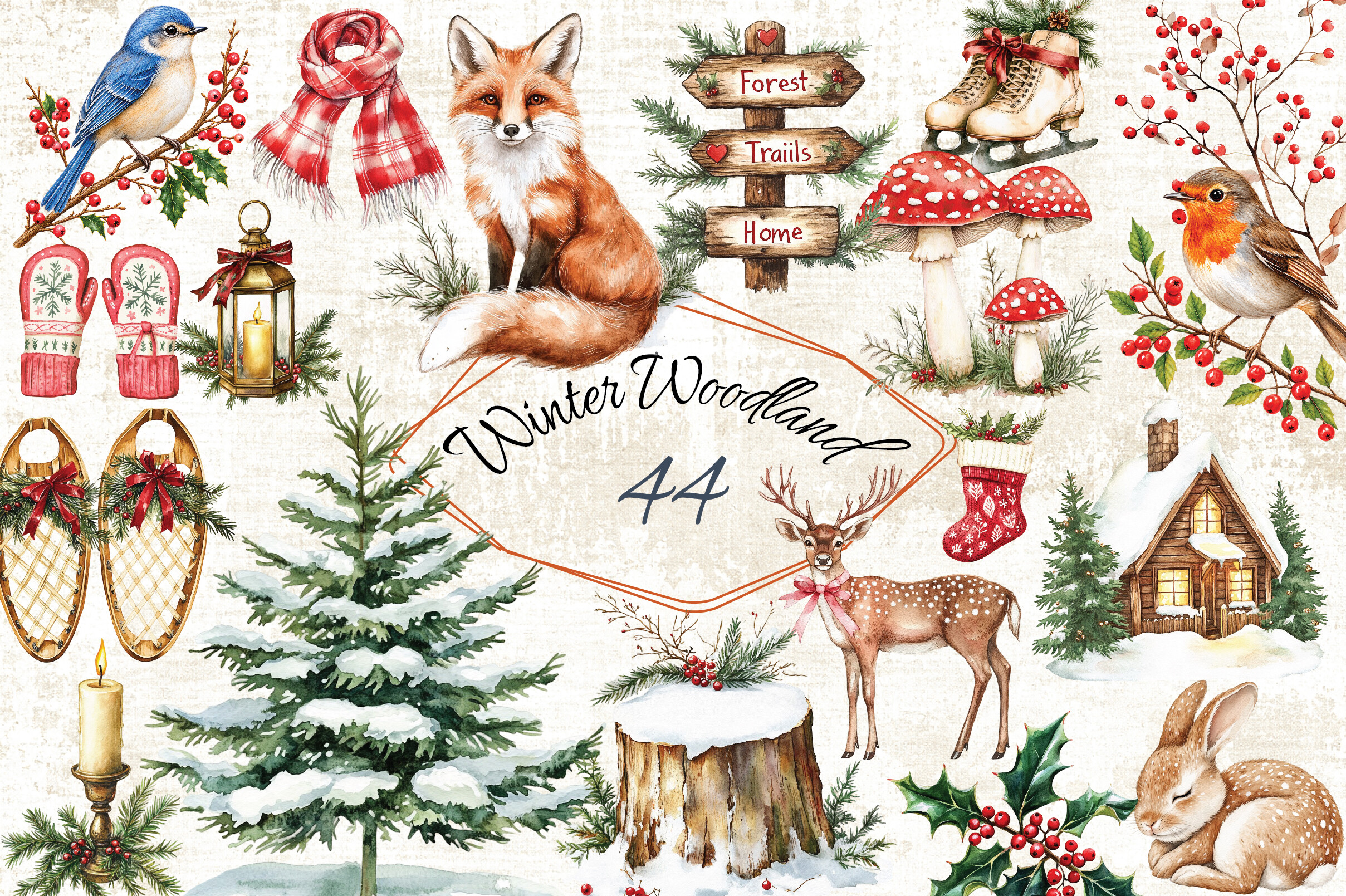 Winter Woodland Clipart