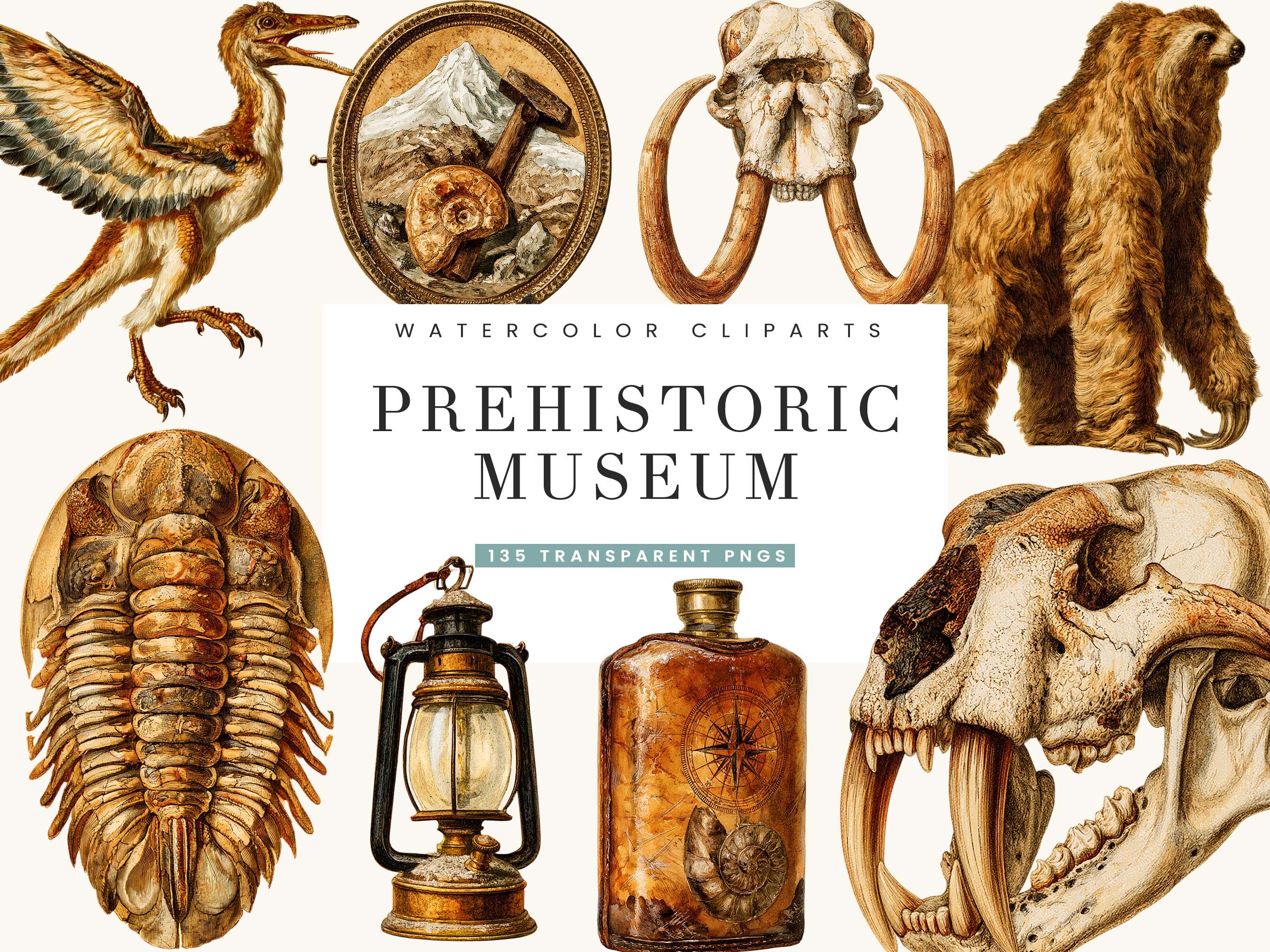 Victorian Prehistoric Museum Clipart