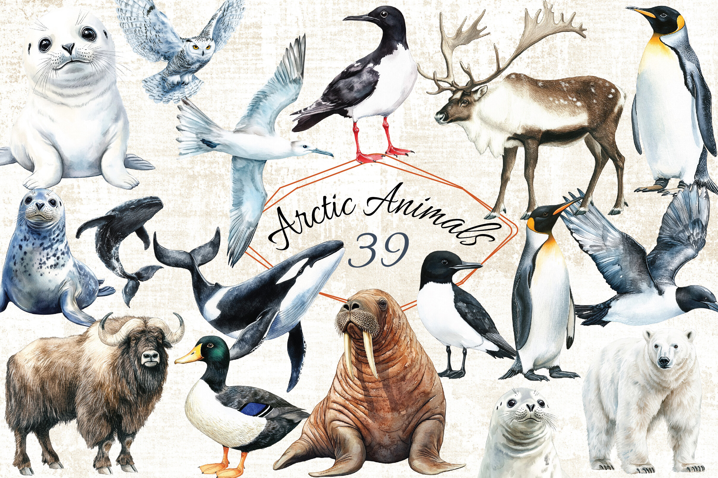 Watercolor Arctic Animals Clipart