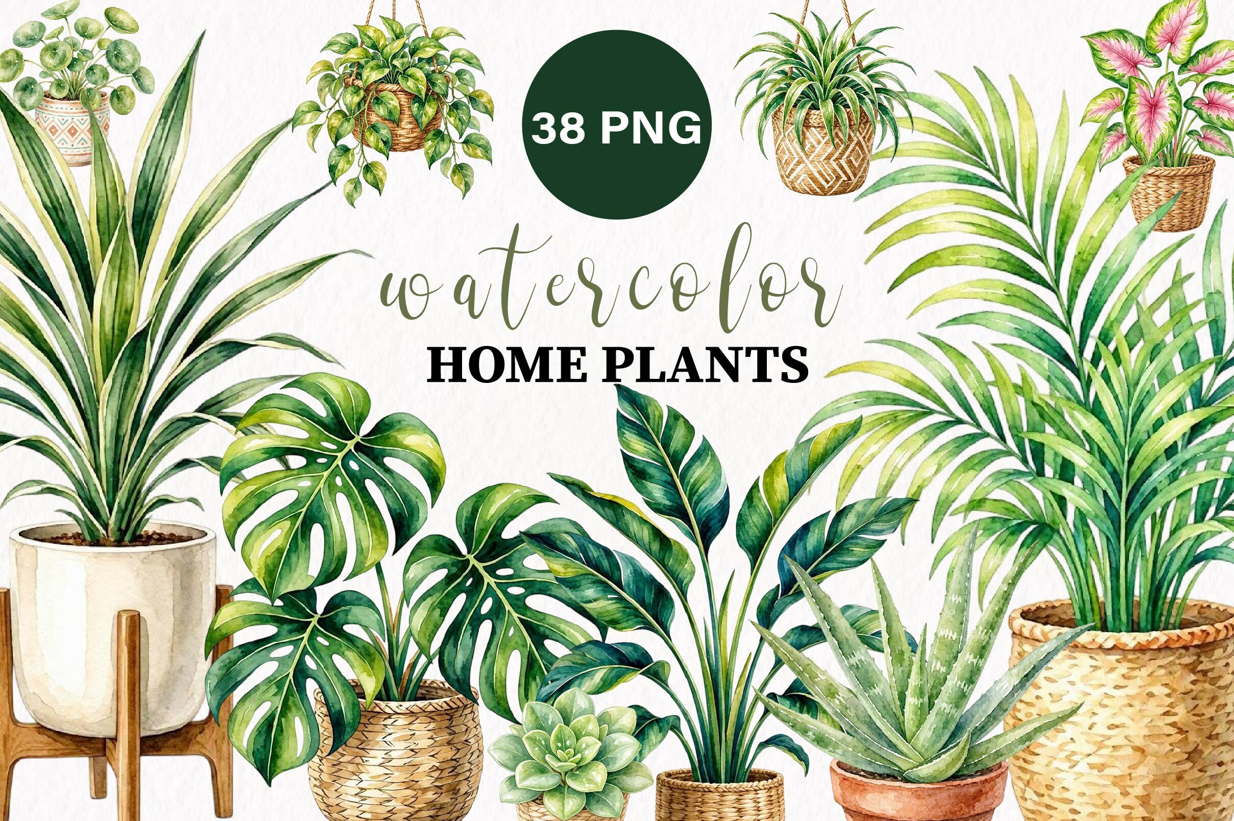 Watercolor House Plants Clipart
