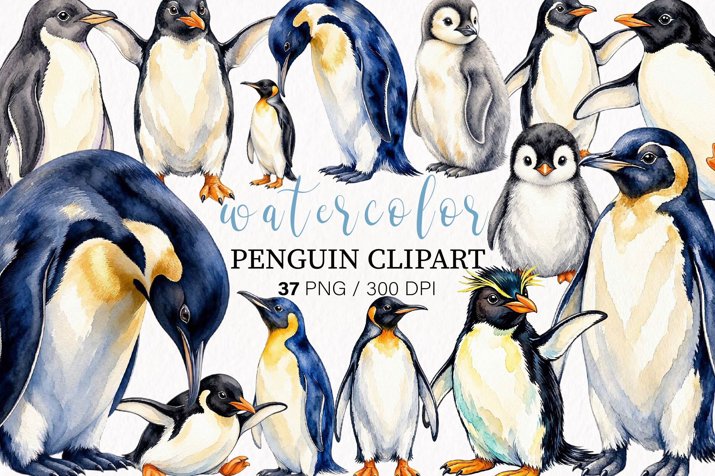 Watercolor Penguin Clipart