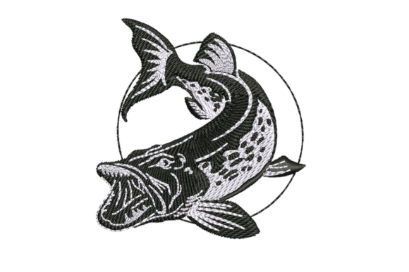 Catfish Hecht