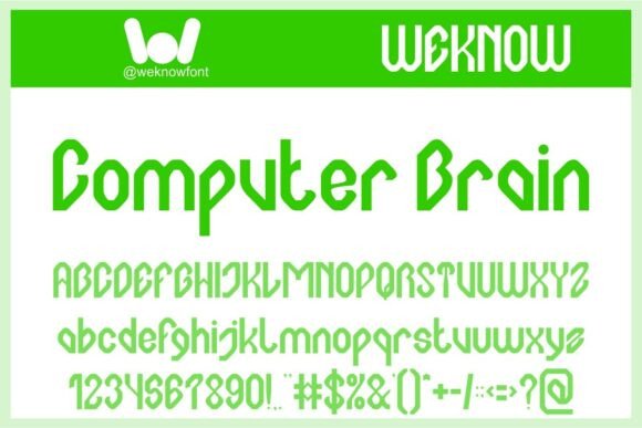 Computer Brain