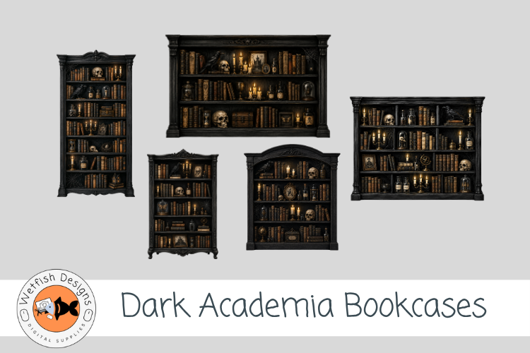 Dark Academia PNG Bookcases