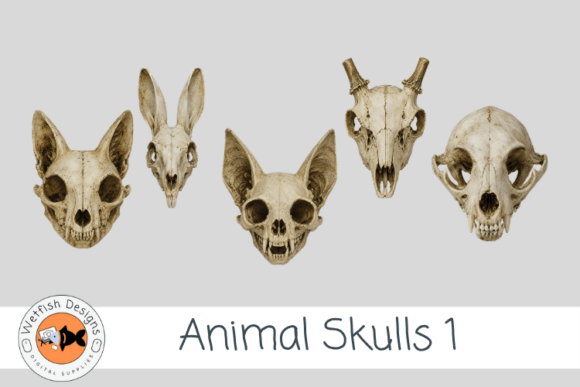 PNG Animal Skulls 1Gothic Animal Skulls
