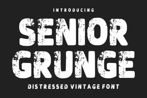 Senior Grunge