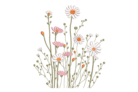 Daisy & Wildflower Meadow