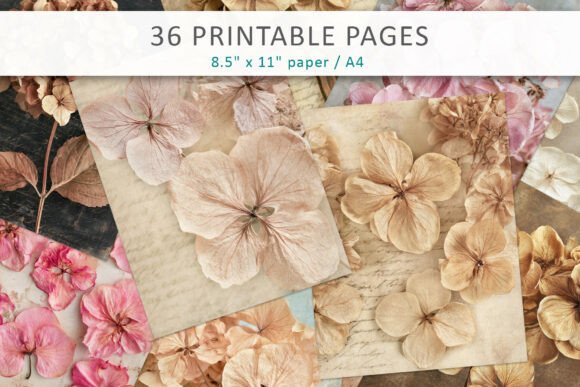 Dried Hydrangea Botanic Paper