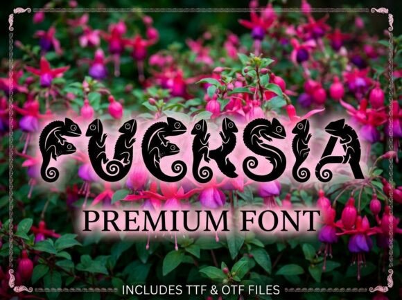Fuchsia