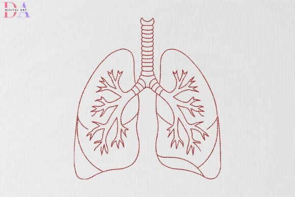Lung Anatomy Line Art