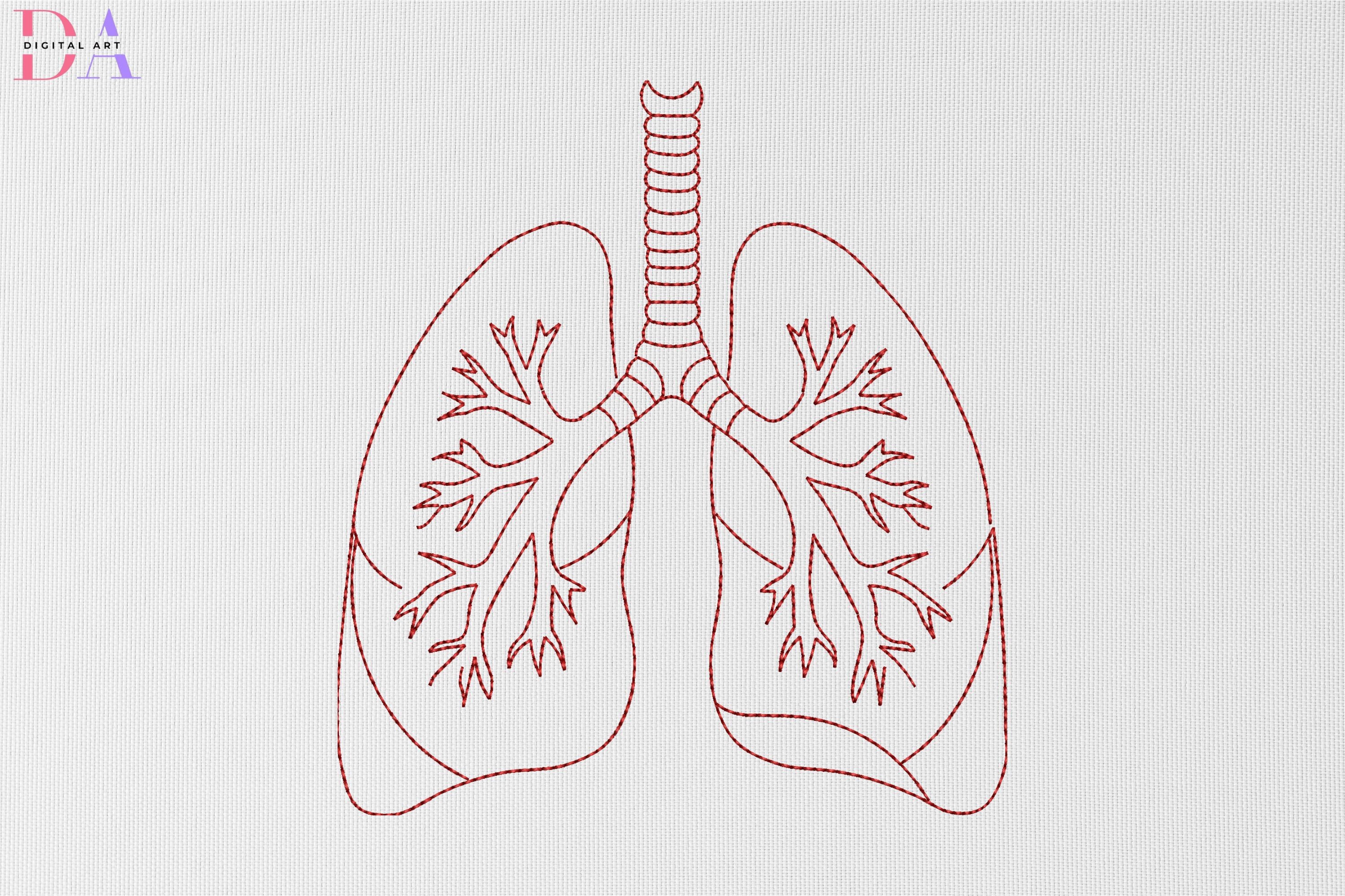 Lung Anatomy Line Art