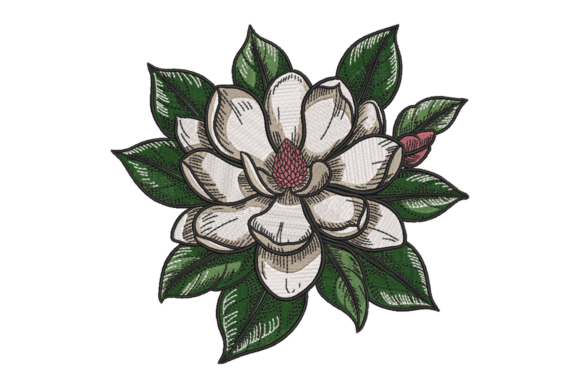 Magnolia Flower