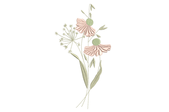 Rose Pink Coneflower Wildflower