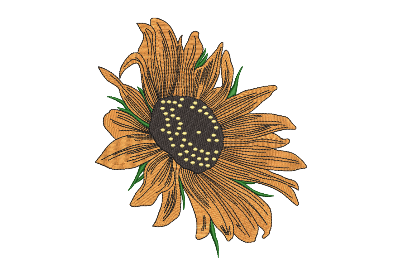 Sunflower Bloom