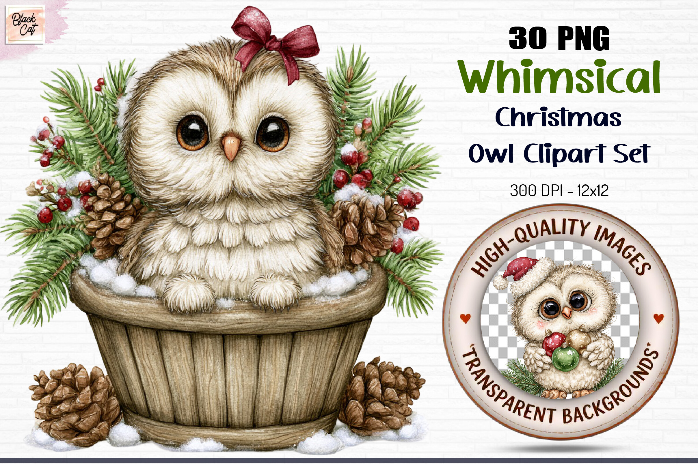Whimsical Christmas Owl Clipart PNG