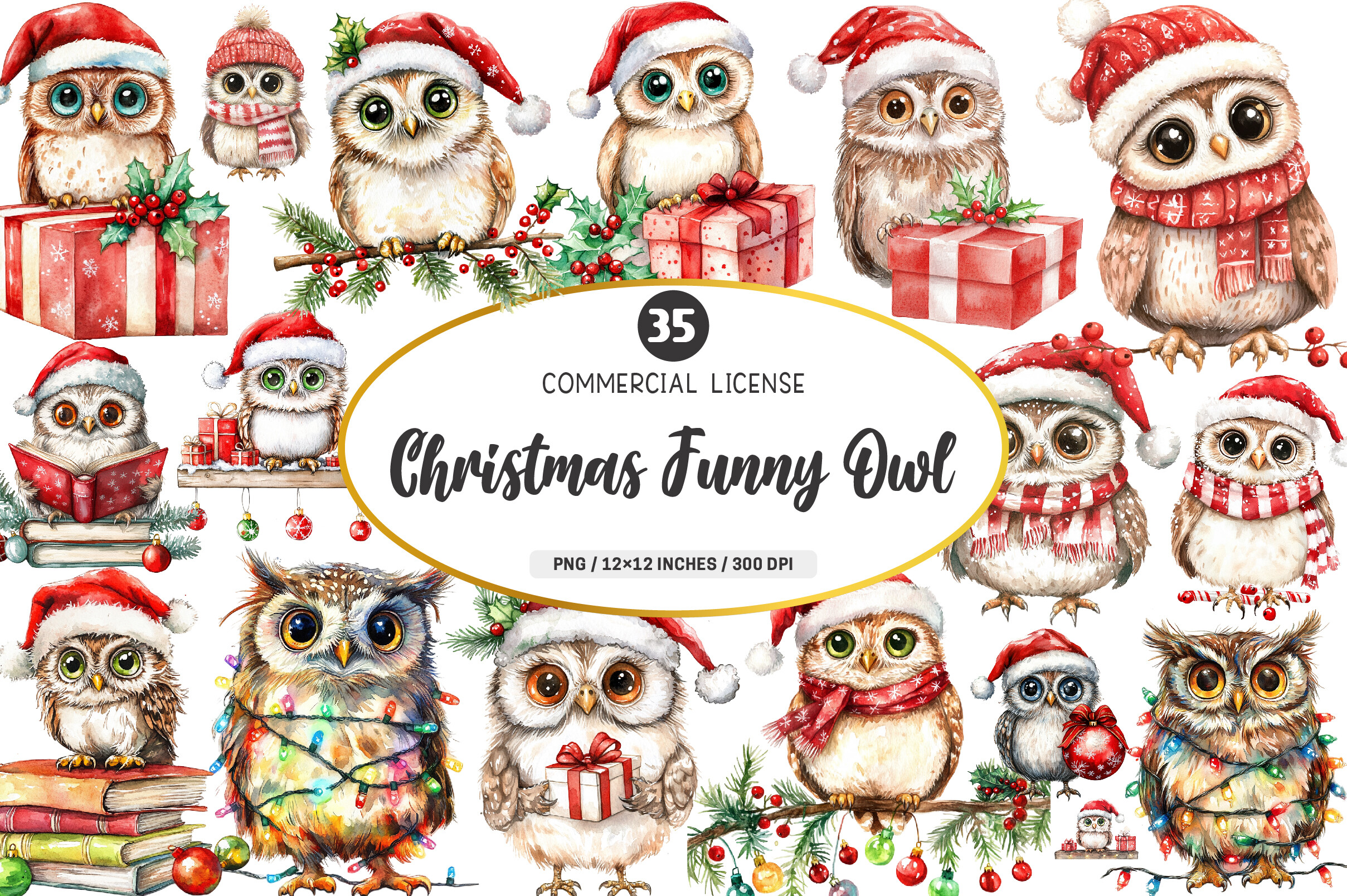 Christmas Funny Owl Clipart PNG Bundle