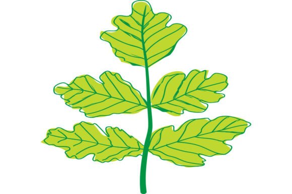 Minimal Green Oak Leaf Branch Graphic Illustrations By saiffud12