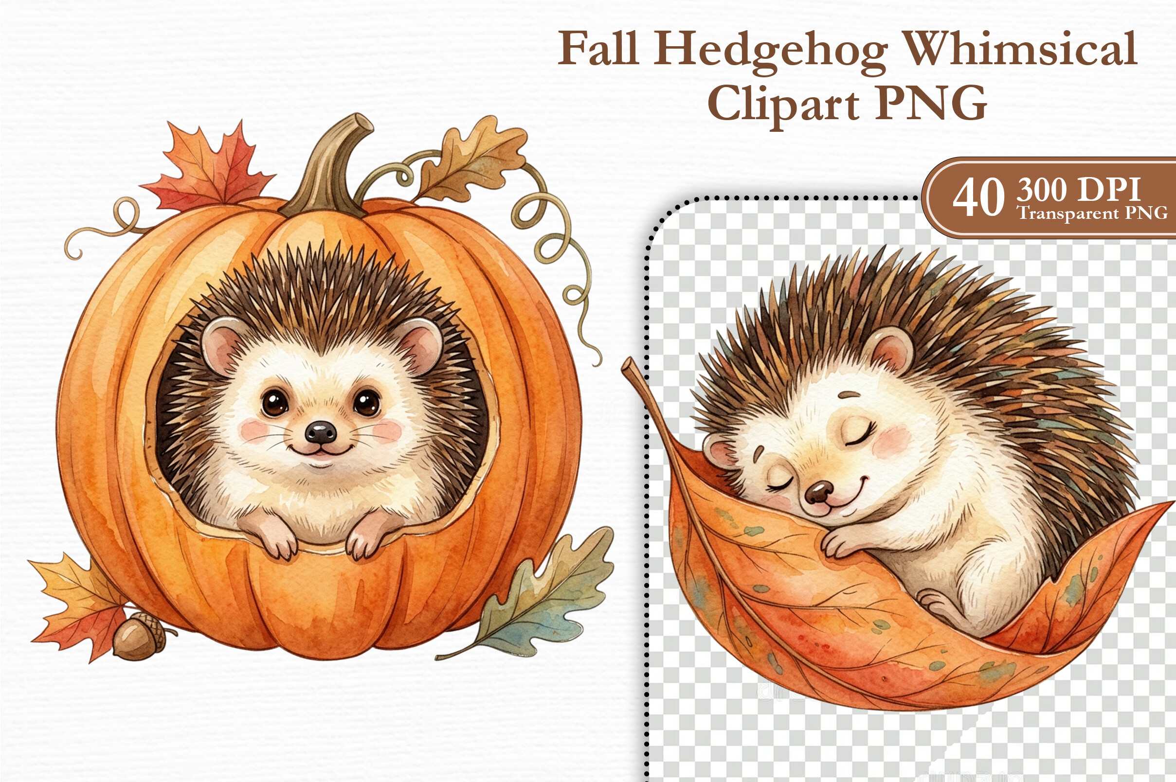 Fall Hedgehog Whimsical Clipart PNG