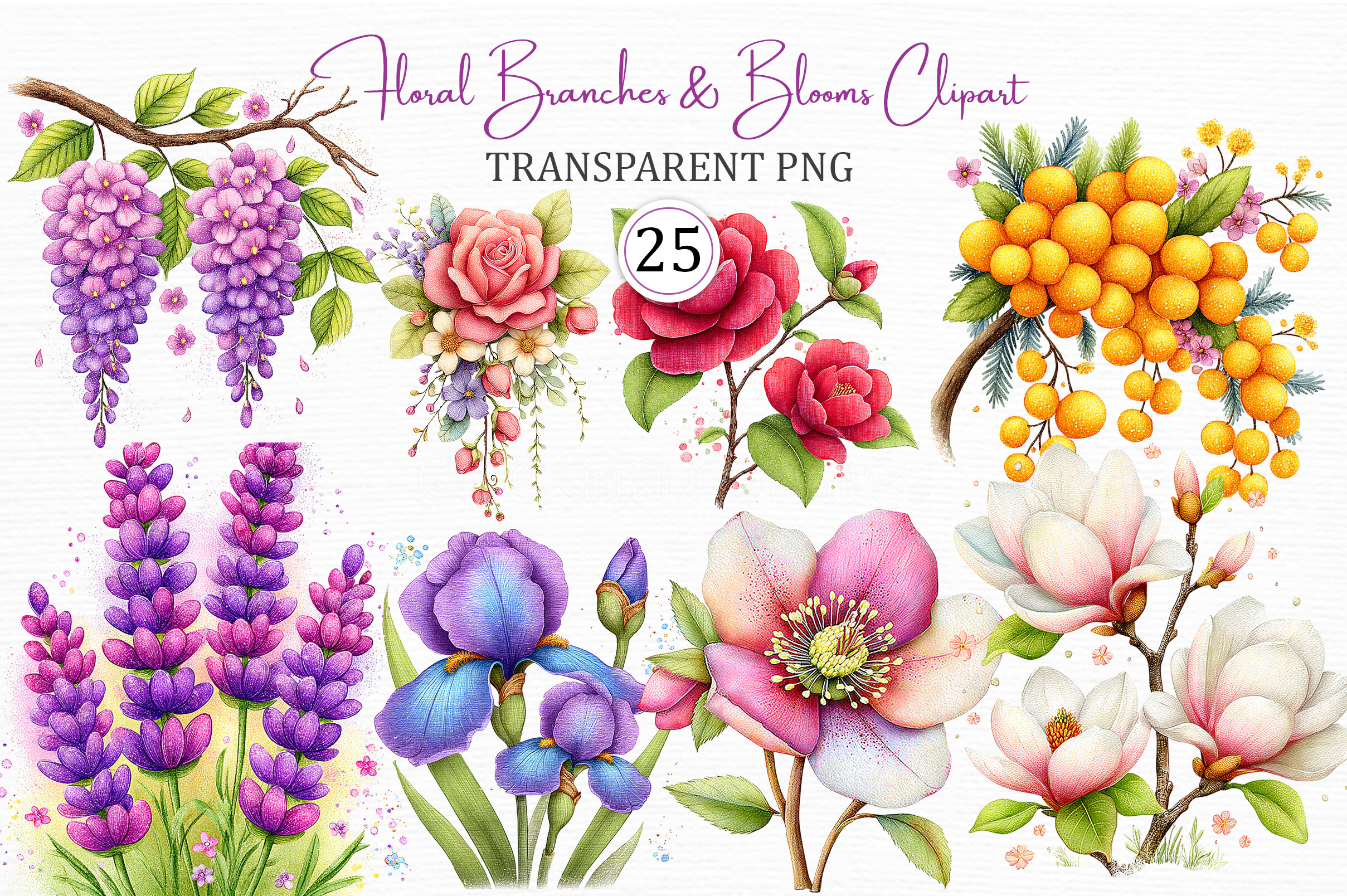 Floral Branches & Blooms PNG Clipart