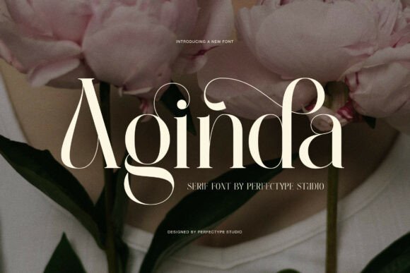Aginda Serif Font By Perfectype